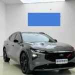 Ford EVOS 2022