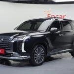 Hyundai The New Palisade Diesel 2.2 4WD VIP