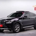 BMW X4 (G02) xDrive20i xLine