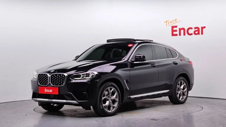 BMW X4 (G02) xDrive20i xLine