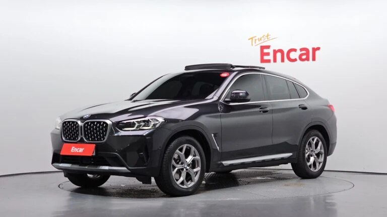 BMW X4 (G02) xDrive20d xLine